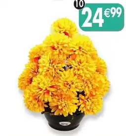 Maximo Coupe xl de chrysanthèmes coloris jaune offre