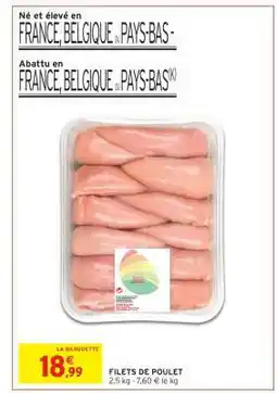 Intermarché Filets De Poulet offre