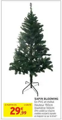 Intermarché SAPIN BLOOMING offre