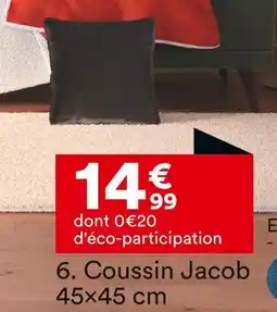 BUT Coussin Jacob 45x45 cm offre