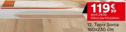 BUT Tapis Sonia 160×230 cm offre