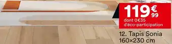 BUT Tapis Sonia 160×230 cm offre