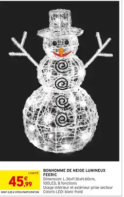 Intermarché Hyper Feeric Bonhomme de neige lumineux offre