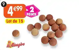 Maximo 15 billes antimites offre