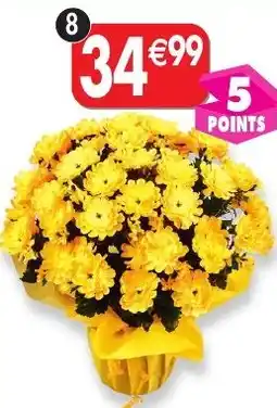 Maximo Corolle de mini chrysanthèmes offre