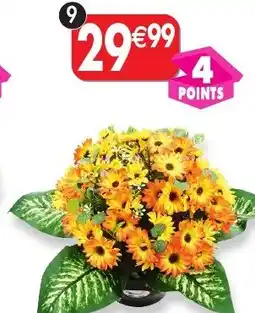 Maximo Coupe d'asthers offre