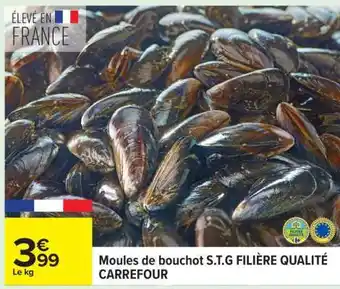 Carrefour Moules de bouchot S.T.G FILIÈRE QUALITÉ CARREFOUR offre