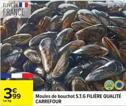 Carrefour Carrefour - moules de bouchot s.t.g filière qualité offre