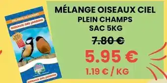Plein champs - melange oiseaux ciel