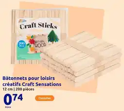 Action Bâtonnets pour loisirs créatifs craft sensations offre