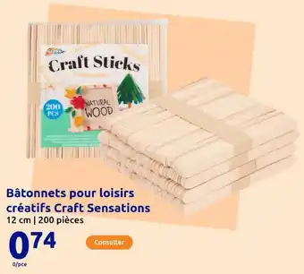 Bâtonnets pour loisirs créatifs craft sensations