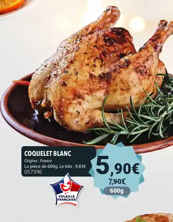 Gel 2000 Coquelet blanc offre