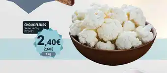 Gel 2000 Choux fleurs offre