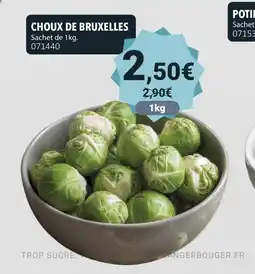 Gel 2000 Choux de bruxelles offre