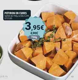 Gel 2000 Potiron en cubes offre