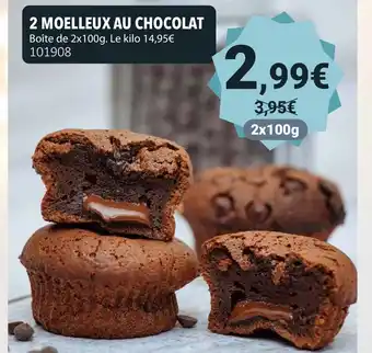 Gel 2000 2 moelleux au chocolat offre
