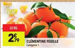 Supeco Clémentine feuille offre