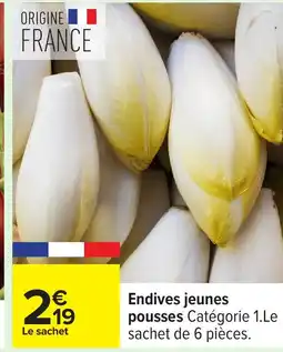 Carrefour Endives jeunes pousses offre