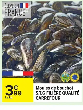 Carrefour S.T.G FILIÈRE QUALITÉ CARREFOUR Moules de bouchot offre
