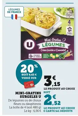 Bi1 Mini-gratins surgeles u offre