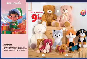 Auchan Supermarché Ours assis offre