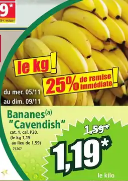 Norma Bananes cavendish offre