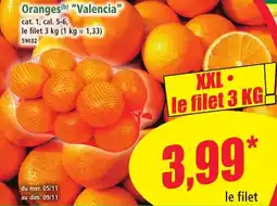 Norma Oranges valencia offre