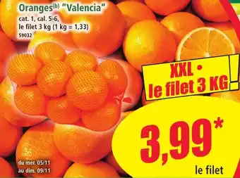 Norma Oranges valencia offre