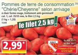 Norma Pommes de terre de consommation chérie cheyenne selon arrivage offre