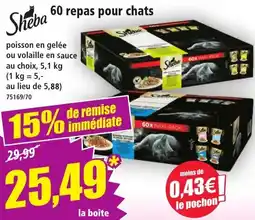 Norma Sheba 60 repas pour chats offre