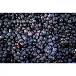 Carrefour LE MARCHE Raisin noir sans pépins CARREFOUR Le Marché offre