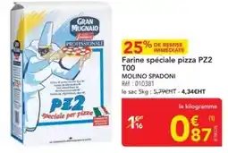 METRO Molino spadoni - farine spéciale pizza pz2 too offre