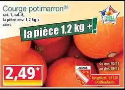 Norma Cat - courge potimarron offre
