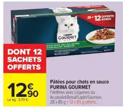 Carrefour Market PURINA GOURMET offre
