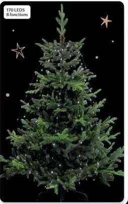 Maximo Robe de sapin lumineuse offre