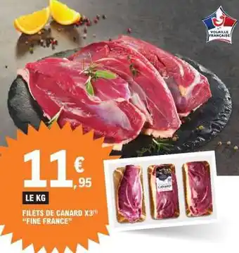 FILETS DE CANARD X3 FINE FRANCE