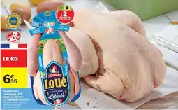 Carrefour Market Poulet fermier Label Rouge I.G.P. Volaille de Maigre offre