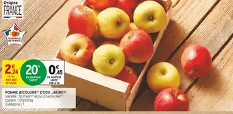Intermarché Contact Pomme bicolore et/ou jaune offre