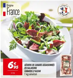Netto Canards d'Auzan Gésiers de canard assaisonnés en salaisons offre