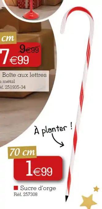 Kandy Sucre d'orge offre