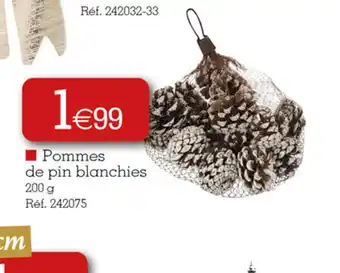 Kandy Pommes de pin blanchies offre