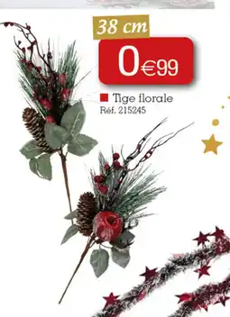 Kandy Tige florale offre