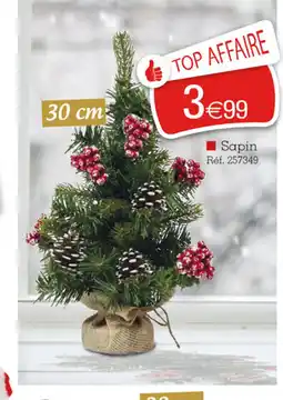 Kandy Sapin offre