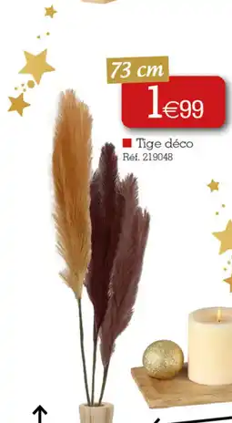 Kandy Tige déco offre