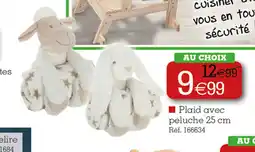 Kandy Plaid avec peluche offre