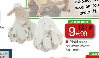 Kandy Plaid avec peluche offre