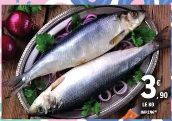 HARENG