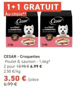 Tom&Co CESAR Croquettes offre