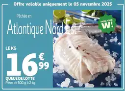 Auchan Queue de lotte offre