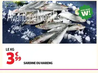 Auchan Sardine ou hareng offre